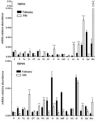 Transient Receptor Potential-Vanilloid (TRPV1-TRPV4) Channels in the Atlantic Salmon, Salmo salar. A Focus on the Pineal Gland and Melatonin Production